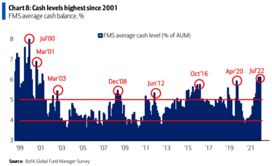 cash levels highest since 2001